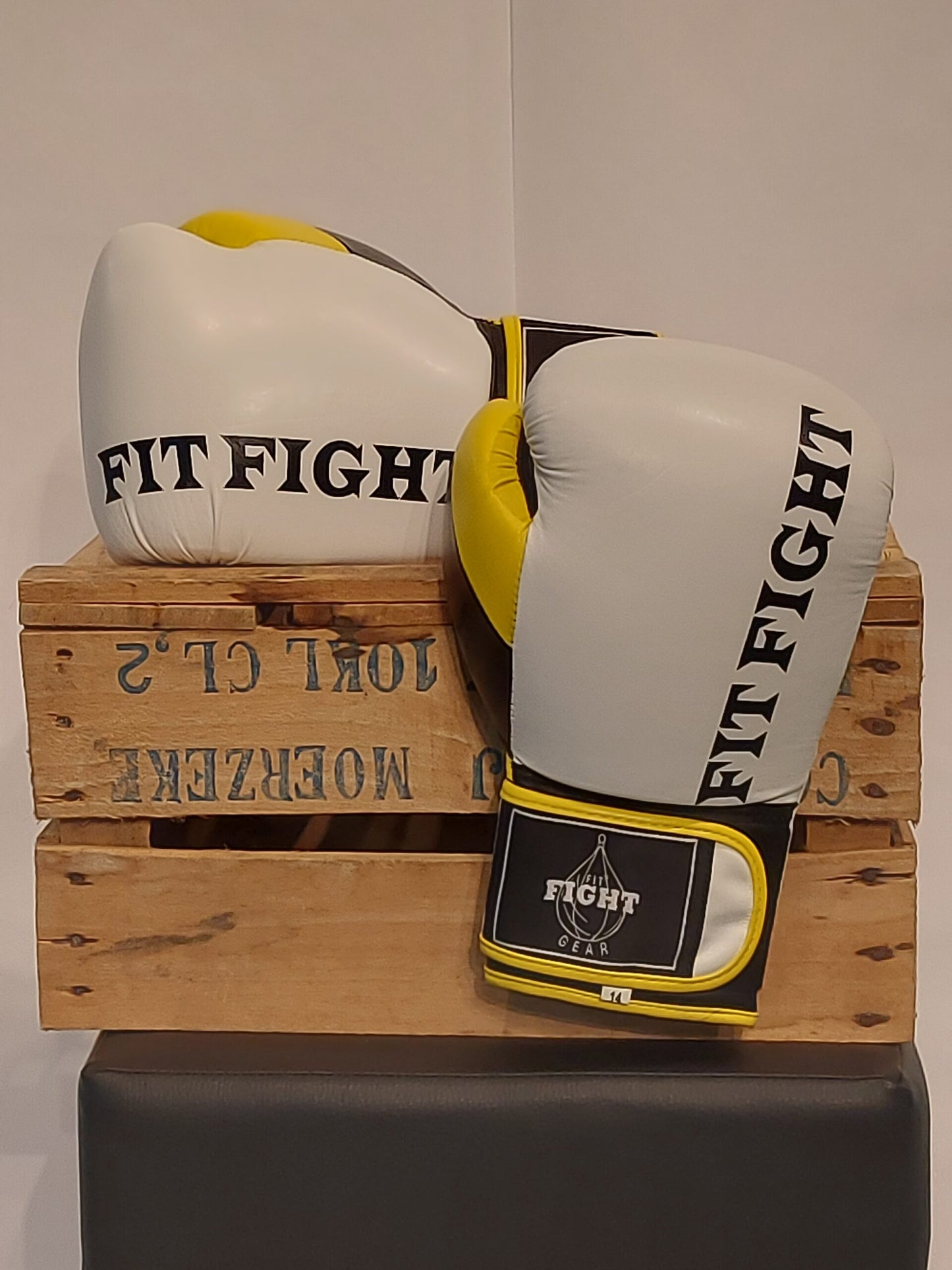 FFG Boxing Gloves PU Leather | Multicolor